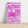 Buzzcocks and The Vandals – Melody Ballroom and RockCandy Fine Art Concert Poster