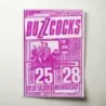 Buzzcocks and The Vandals – Melody Ballroom and RockCandy Fine Art Concert Poster