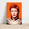 David Bowie – Aladdin Sane Era Portrait Fine Art Music Poster