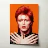David Bowie – Aladdin Sane Era Portrait Fine Art Music Poster