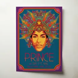 Prince and 3rd Eye Girl – DNA Lounge Fine Art Concert Poster