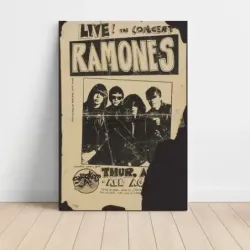 Ramones – Live In Concert Sneakers Fine Art Concert Poster
