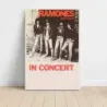Ramones – Rocket To Russia In Concert Fine Art Concert Poster