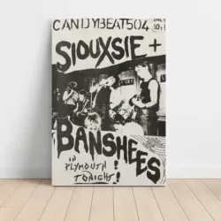 Siouxsie and The Banshees – Plymouth Tonight Fine Art Concert Poster