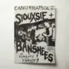 Siouxsie and The Banshees – Plymouth Tonight Fine Art Concert Poster