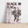 Black Flag – Vex Fine Art Concert Poster