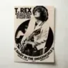 T. Rex – Dandy In The Underworld Fine Art Music Poster