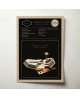 Arctic Monkeys - Tranquility Base Hotel + Casino Album Poster