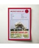 Beck! – Odelay Fine Art Album Poster Wall Art