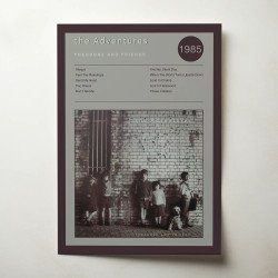 The Adventures – Theodore And Friends Fine Art Album Poster