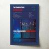 The Charlatans – Wonderland Fine Art Album Poster
