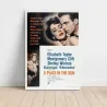 A Place in the Sun Fine Art 1950's Movie Poster