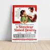 Streetcar Named Desire Fine Art 1950's Movie Poster