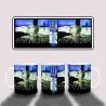 Oasis Sunday Morning Call Album Cover Mug - Home Decor