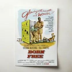 Born Free Fine Art 1960's Movie Poster Wall Art