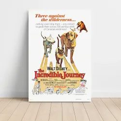 The Incredible Journey 1960's Movie Poster | Fine Art Decor