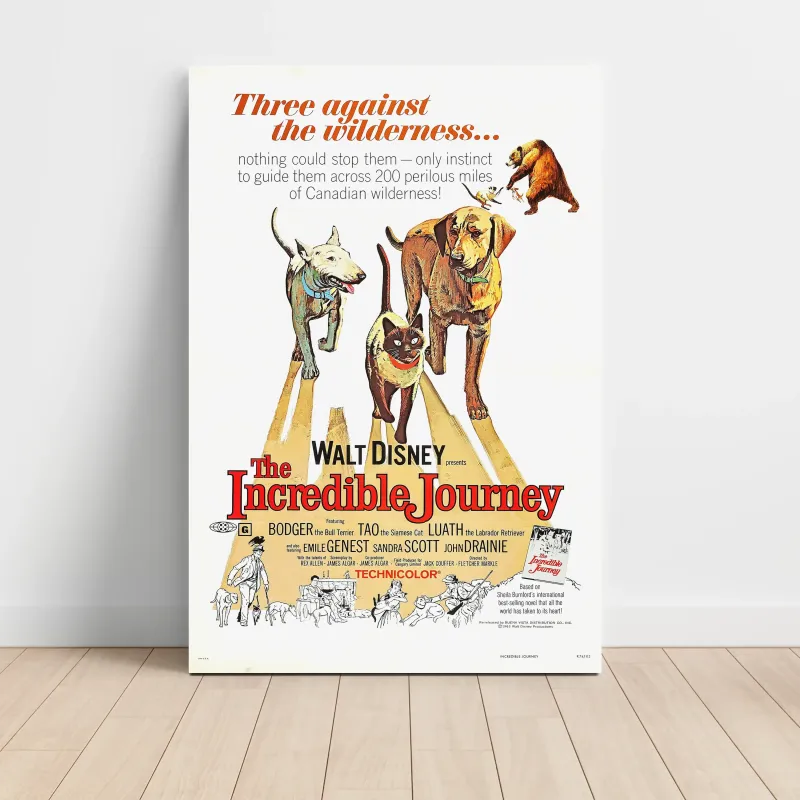 The Incredible Journey 1960's Movie Poster | Fine Art Decor The Incredible Journey 1960's Movie Poster | Fine Art Decor