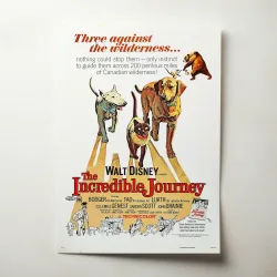 The Incredible Journey 1960's Movie Poster | Fine Art Decor