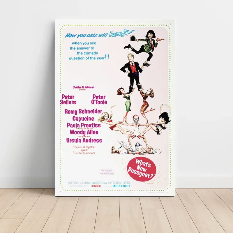 Whats New Pussycat Fine Art 1960's Movie Poster Whats New Pussycat Fine Art 1960's Movie Poster