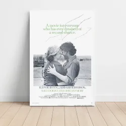 Alice Doesn't Live Here Anymore Fine Art 1970's Movie Poster