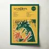 The Levellers – A Weapon Called The Word Fine Art Album Poster
