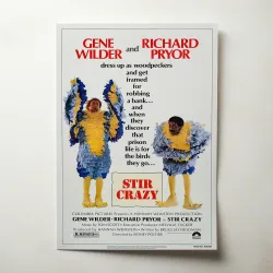 Stir Crazy 1980's Movie Poster - Fine Art Collectible