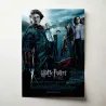 Harry Potter and the Goblet of Fire Fine Art Movie Poster 2000's