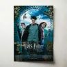 Harry Potter and the Prisoner of Azkaban (2004) Fine Art Movie Poster