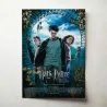 Harry Potter and the Prisoner of Azkaban 2000's Fine Art movie Poster