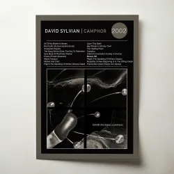 David Sylvian – Camphor Fine Art Album Poster for Collectors