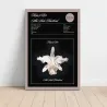 Kings Of Leon – Aha Shake Heartbreak Fine Art Album Poster