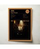 ABBA Supertrouper Fine Art Album Poster - Music Decor