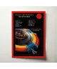 Electric Light Orchestra - Out of the Blue Fine Art Album Poster