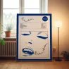 Madonna – Erotica Fine Art Album Poster | Music Decor