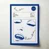 Madonna – Erotica Fine Art Album Poster | Music Decor