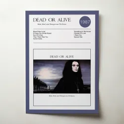 Mad, Bad & Dangerous: Iconic Dead or Alive Album Poster