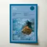 Blue System – Body Heat Fine Art Album Poster