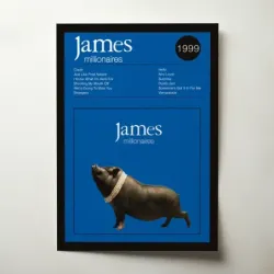 James – Millionaires Fine Art Album Poster