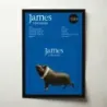 James – Millionaires Fine Art Album Poster