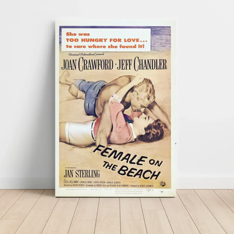 Female on the Beach (1955) Fine Art Movie Poster