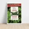 The Green Glove (1952) Fine Art Movie Poster