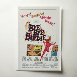 Bye Bye Birdie (1963) Fine Art Movie Poster