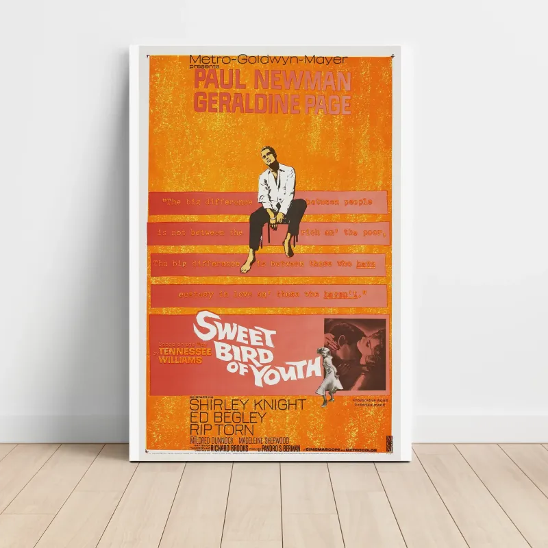 Sweet Bird of Youth (1962) Fine Art Movie Poster