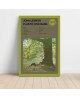 John Lennon - Plastic Ono Band Fine Art Album Poster